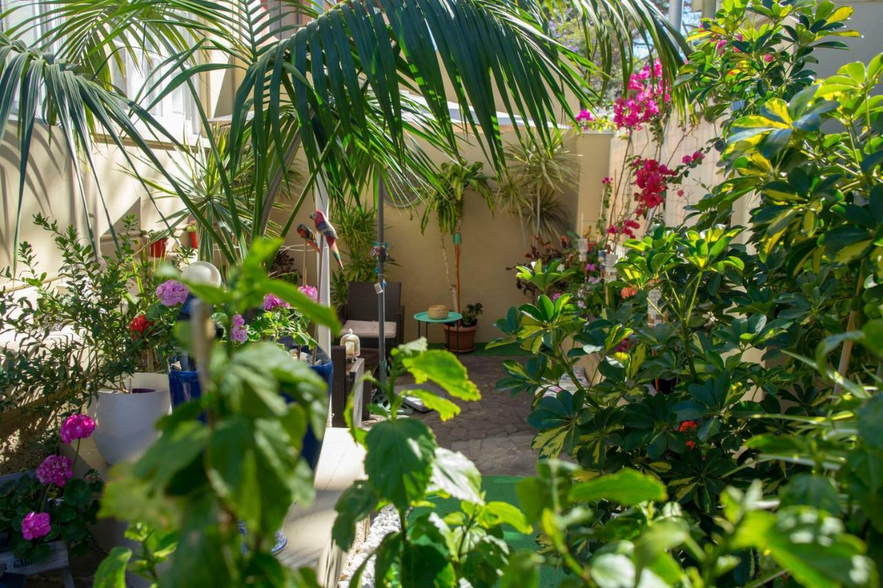 Casa Kilig Hotel Santa Cruz de Tenerife Exterior photo